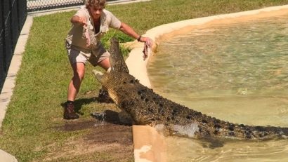Personalitatea zilei: Steve Irwin [VIDEO]