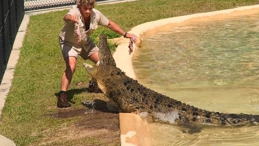 Personalitatea zilei: Steve Irwin [VIDEO]