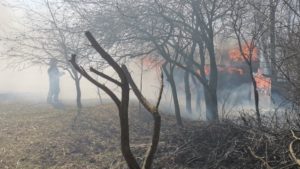 Incendiile de vegetație, o problemă continuă