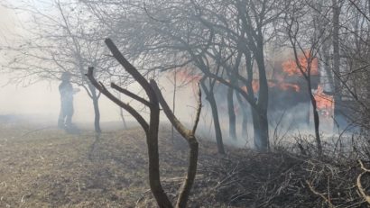 Incendiile de vegetație, o problemă continuă