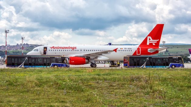 Mai multe zboruri AnimaWings, anulate. Ce se întâmplă cu vacanțele turiștilor