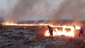 50 hectare de vegetaţie uscată distruse de un incendiu