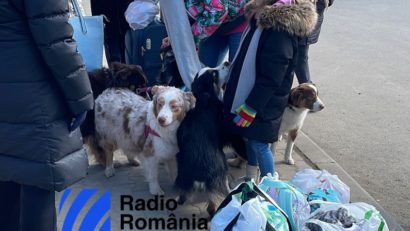 Peste 112.000 animale de companie au fost evacuate cu trenul, de la începutul războiului