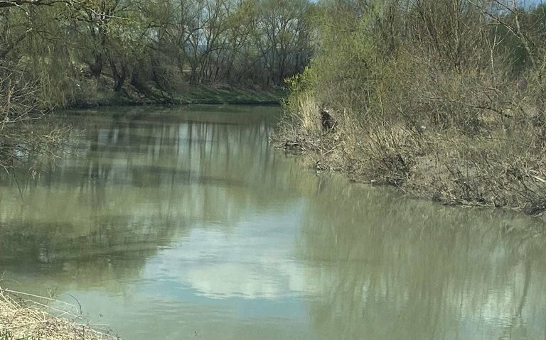La ”pescuit” de pet-uri! [FOTO]
