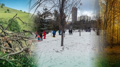 Petiție: ”Nu distrugeți natura cu centura”