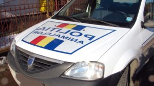 Mai multe salvări, mai multe dosare penale pentru Protecţia Animalelor Bihor