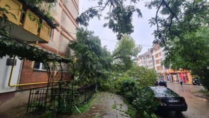 Maramureș – Furtuna de ieri a provocat mai multe pagube în județ.