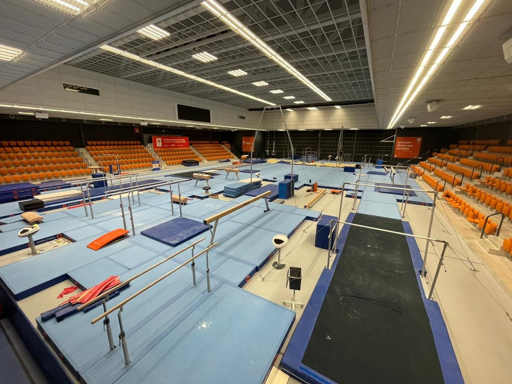 Alegeri pentru funcția de președinte al Federației Române de Gimnastică
