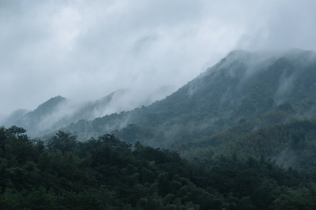 86.985 de hectare de junglă amazoniană au dispărut în primele nouă luni ale acestui an