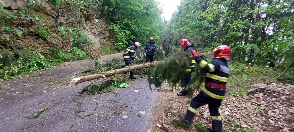 Daune provocate de vântul și ploaia din această după-amiază, de la Cluj [FOTO]
