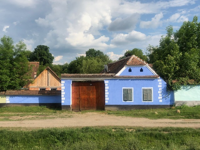 Flori, artă și regalitate la Viscri