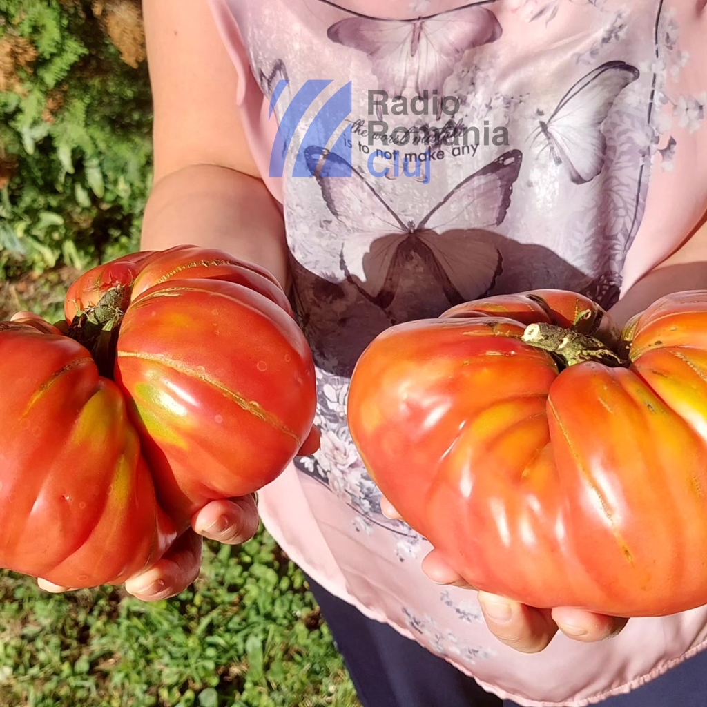 O posibilă legătură între roşii şi sănătatea ficatului