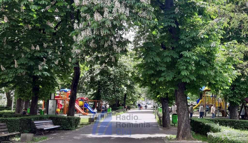 Fumatul interzis în tot mai multe zone din Cluj-Napoca