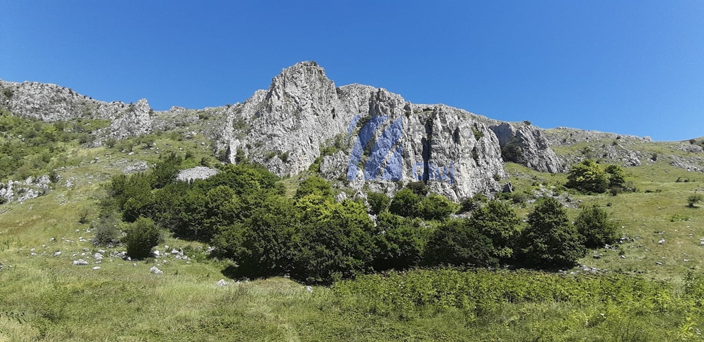 DOCFEST – descoperă arta documentarului în inima naturii! DOCFEST – descoperă arta documentarului în inima naturii!