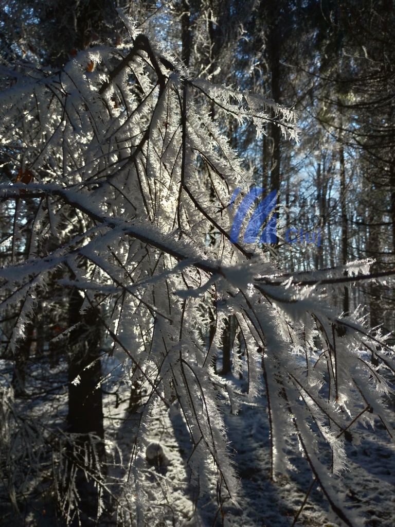 Alba, cel mai afectat județ de ninsori