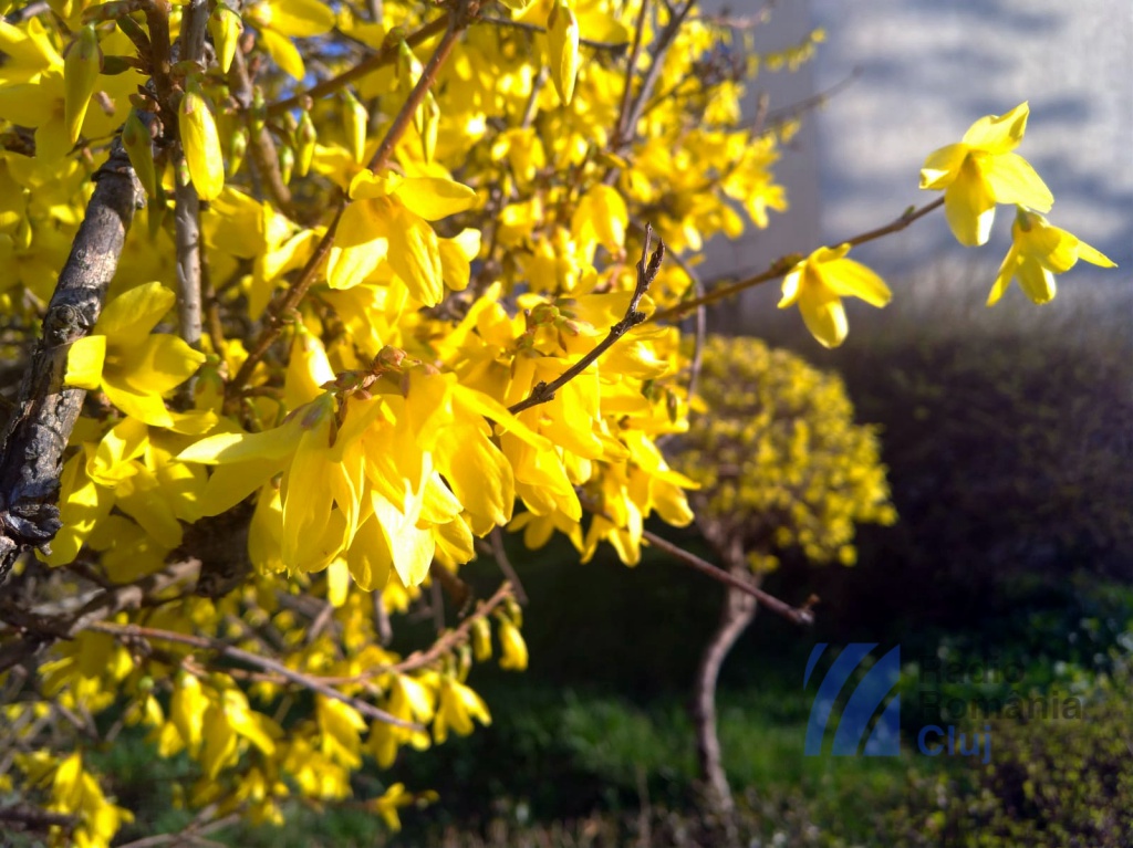 Vremea se schimbă din nou: anunțul meteorologilor