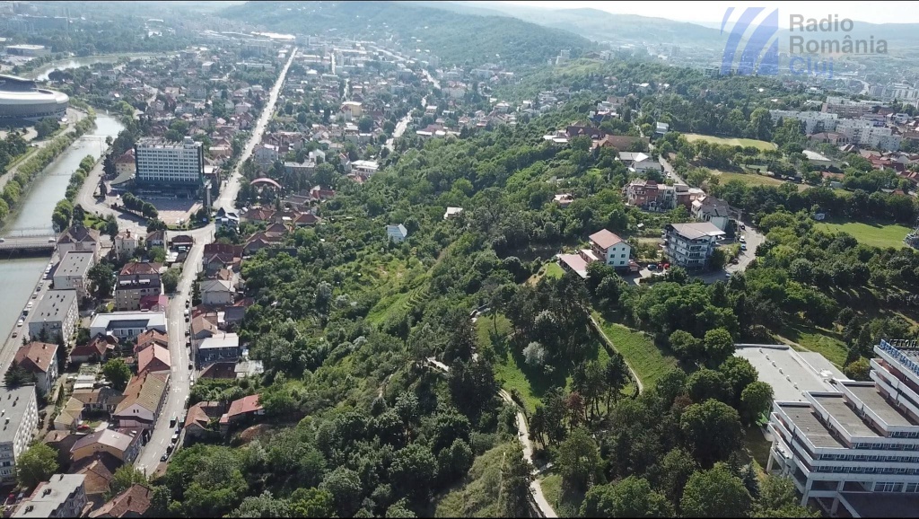 Clujenii mai au de așteptat: marile proiecte pentru spațiile verzi nu pot începe din lipsă de bani
