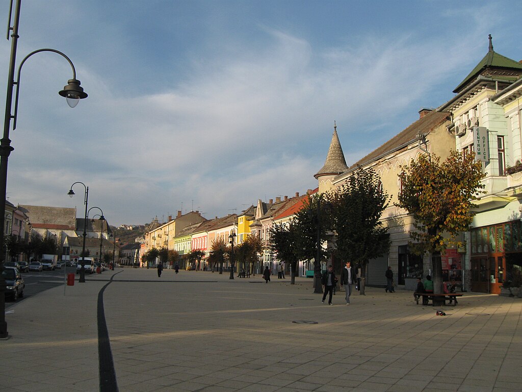 Consilierii din Turda votează bugetul localității