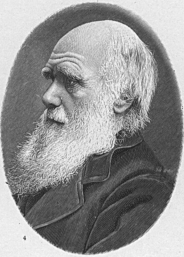 Biblioteca personală a biologului Charles Darwin va fi dezvăluită în întregime online