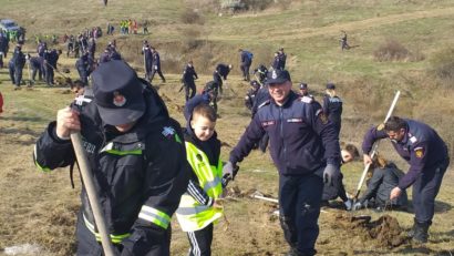 Luna martie este luna plantării arborilor