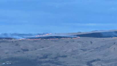Peste 100 de hectare de pășune, cuprinse de incendiu