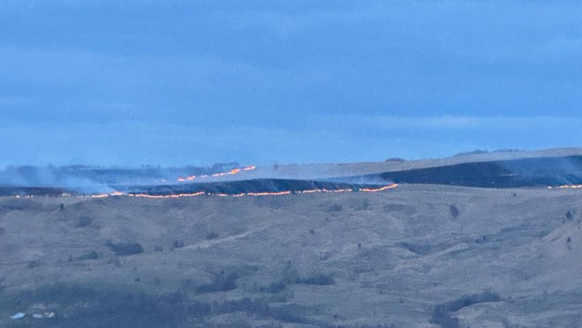 Peste 100 de hectare de pășune, cuprinse de incendiu Peste 100 de hectare de pășune, cuprinse de incendiu