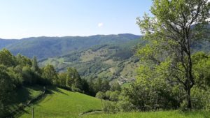 Urși, vipere și furtuni: atenție pe munte!