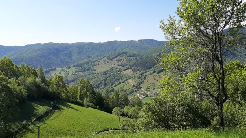 Urși, vipere și furtuni: atenție pe munte!