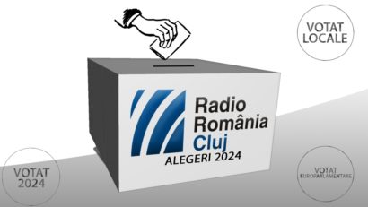 Rezultate provizorii – Diaspora