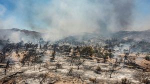 Situația incendiilor din Grecia