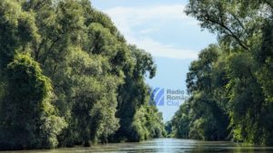 Documentarul ‘Delta Sălbatică’ va rula în cinematografele din România