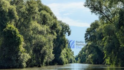 Documentarul ‘Delta Sălbatică’ va rula în cinematografele din România