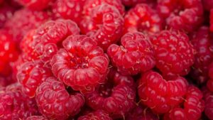 Aromată şi gustoasă: zmeura, superalimentul verii!