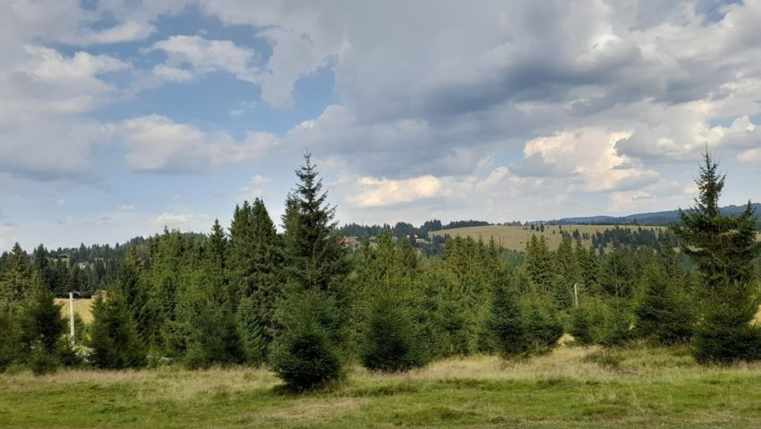 Două noi trasee montane se deschid pentru public în județul Cluj