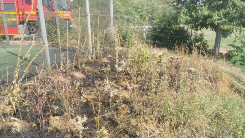 Opt incendii de vegetație uscată într-o singură zi Opt incendii de vegetație uscată într-o singură zi