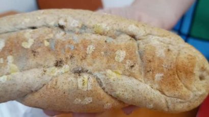 Cornuri cu furnici și biscuiți cu mucegai