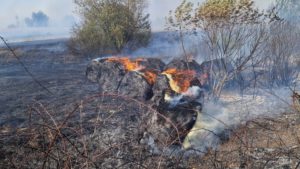 Trei incendii de vegetație, într-o singură zi