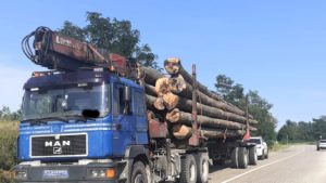 Ministrul Mediului anunță reguli mai dure pentru transportul lemnului