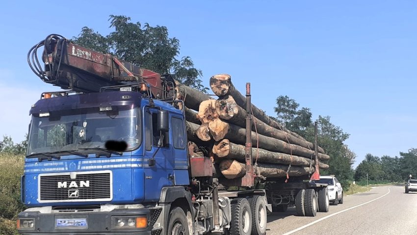 Ministrul Mediului anunță reguli mai dure pentru transportul lemnului