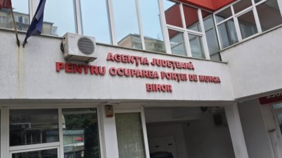 Cauți un loc de muncă? AJOFM Bihor are aproape 1000 de oferte