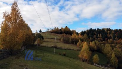 Balul strugurilor și zăpezile Sfântului Procoavă