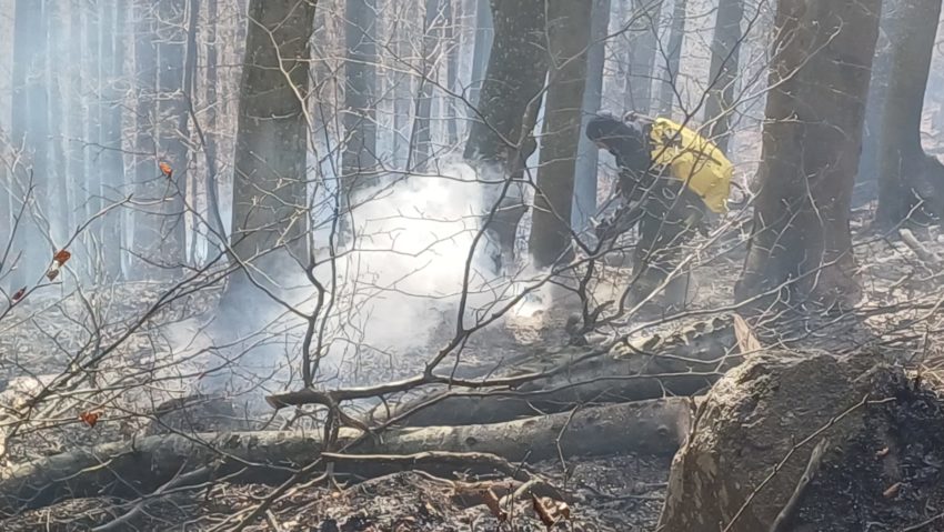 Incendiu de vegetație greu de stins în Țara Lăpușului Incendiu de vegetație greu de stins în Țara Lăpușului