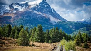 A opta ediție Transylvania Mountain Festival, sub semnul „Spiritului Liber”