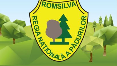 Romsilva analizează situația financiară a direcțiilor silvice