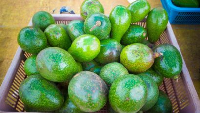 Avocado, contraindicat persoanelor alergice la latex