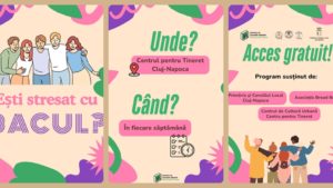 Meditații gratuite pentru Bacalaureat