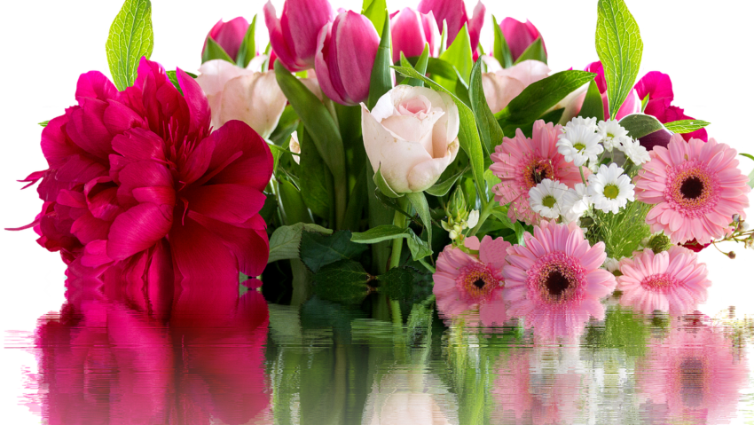 Doamnele și domnișoarele în uniformă, în prim-plan de Ziua Internațională a Femeii