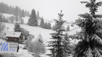 Cod galben și portocaliu de viscol în sud și vest