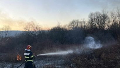 Incendii de vegetație uscată