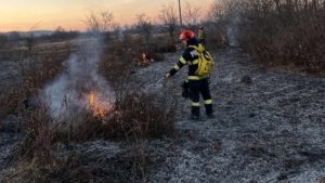 Incendiu de vegetație la Racșa, Satu Mare: pompierii luptă de ore întregi cu flăcările